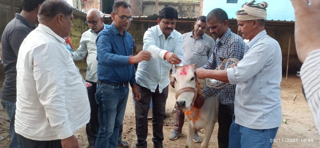 नोडल अधिकारी ने गौ माता का किया विधिवत पूजन- अर्चन