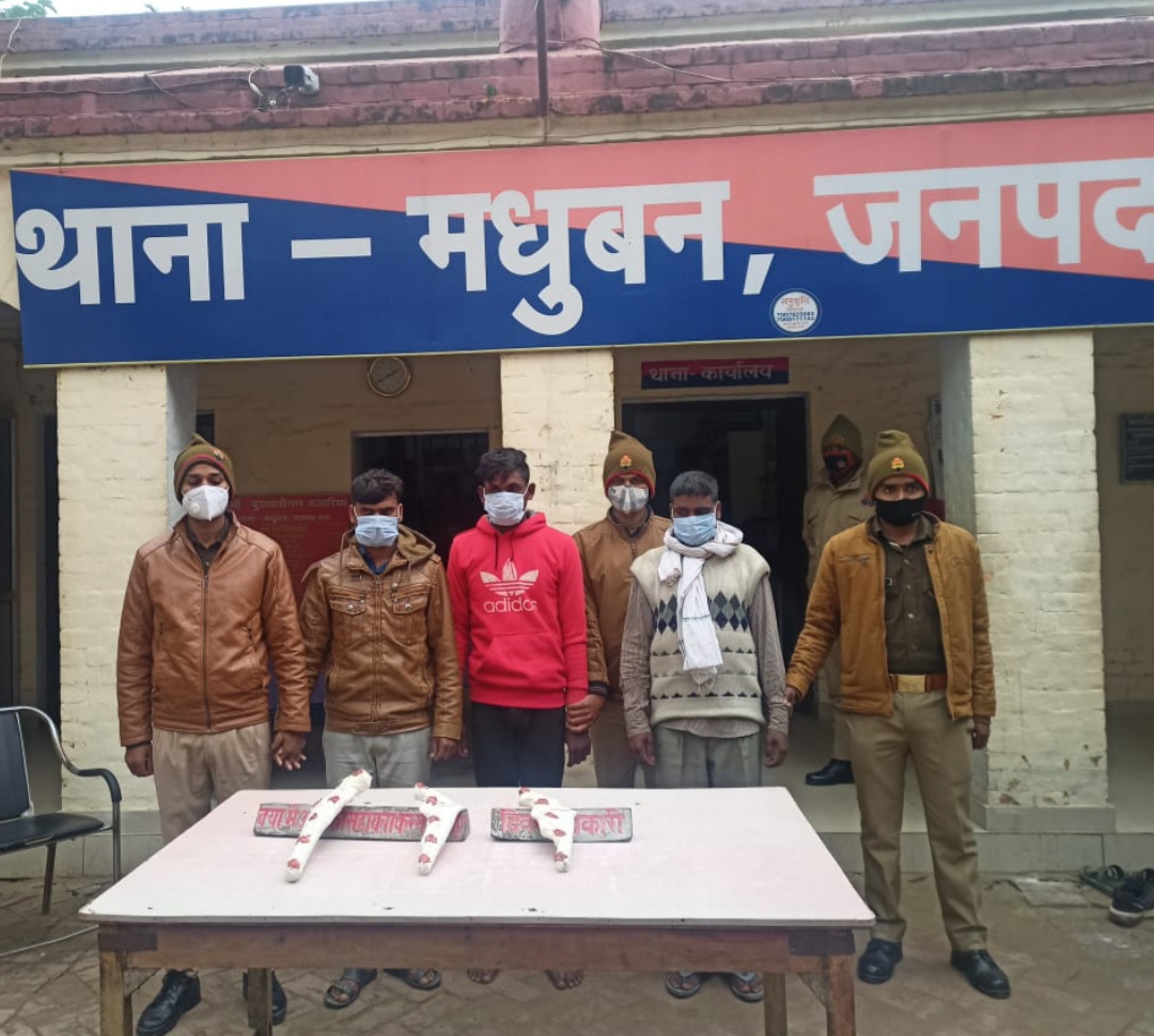 तीन अवैध तमंचा व जिंदा कारतूस के साथ तीन शातिर अभियुक्त गिरफ्तार