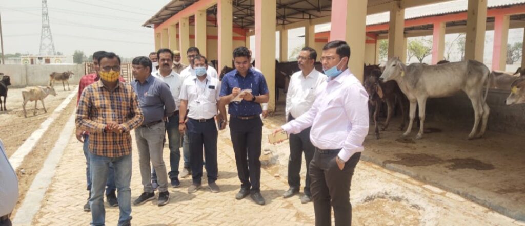 जिलाधिकारी ने रतनपुरा के कुड़वा ग्राम स्थित गो आश्रय स्थल का किया निरीक्षण ।&nbsp;