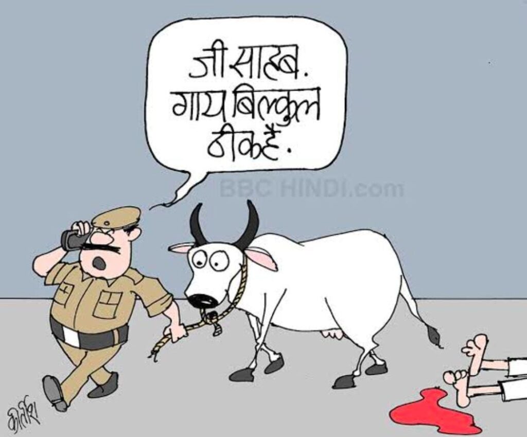 दो पिकअप वाहन में क्रूरतापूर्वक लाद कर वध हेतु ले जाये जा रहे 17 राशि गोवंश बरामद, एक तश्कर गिरफ्तार, कब्जे से अवैध तमंचा व कारतूस बरामद ,