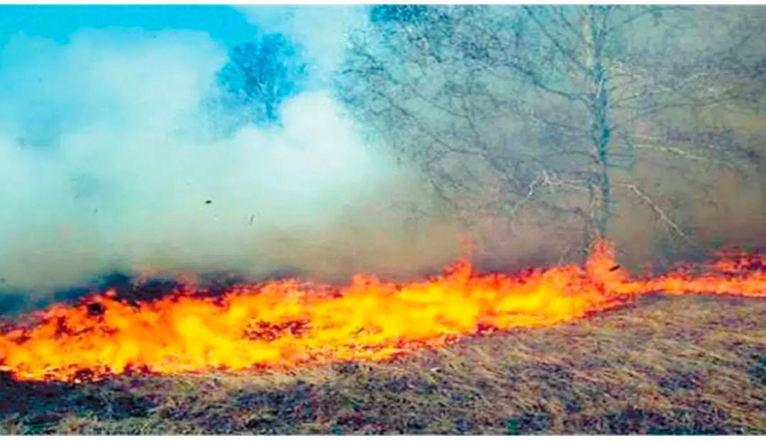 पराली प्रबंधन को लेकर कंबाइन हार्वेस्टर मालिकों के साथ मुख्य विकास अधिकारी की समीक्षा बैठक संम्पन्न