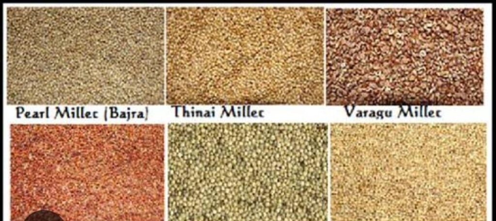 नाम के मोटे,पर पोषण के पॉवर हाउस हैं मोटे अनाज:डॉ अंकित गुप्ता