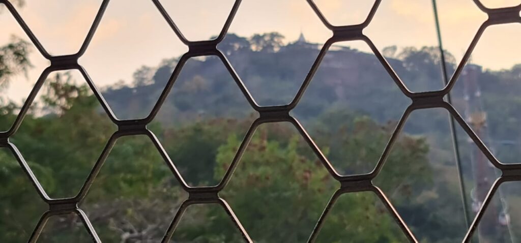 श्री जे पी सिंह अध्यक्ष संस्कृत भारतीन्यास अवधप्रान्त ने तुलसी पूजन पर्व की पूर्व संध्या पर मां शारदा के दर्शन कर राष्ट्र कल्याण की कामना की