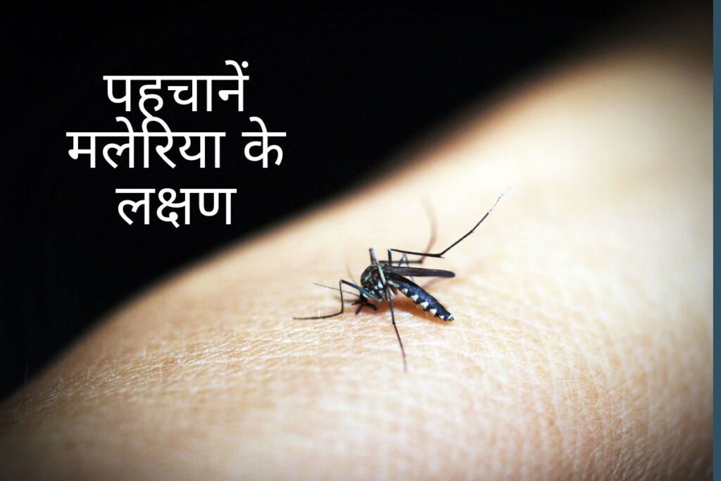 कुष्ठ और फाइलेरिया के मरीज होंगे चिन्हित