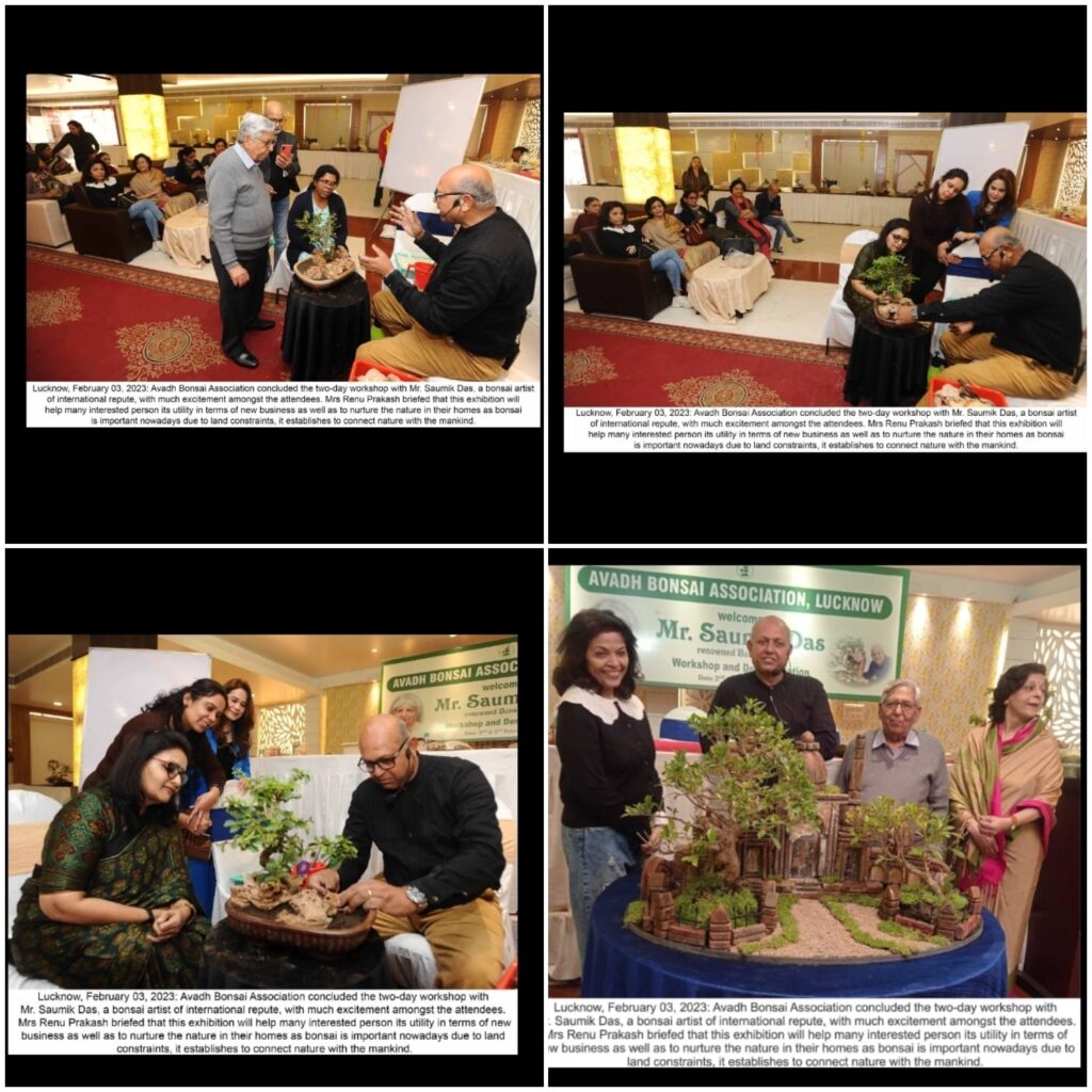 <em>18 वीं शताब्दी में बनी लखनऊ की रेजिडेंसी को बोनसाई से किया जीवंत</em>