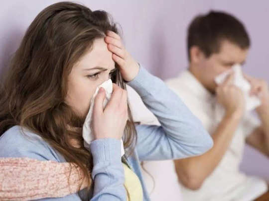 आर्गेनिक तुलसी ग्रीन टी/हर्बल टी पीने के फायदे – Benefits of Organic tulsi green Tea