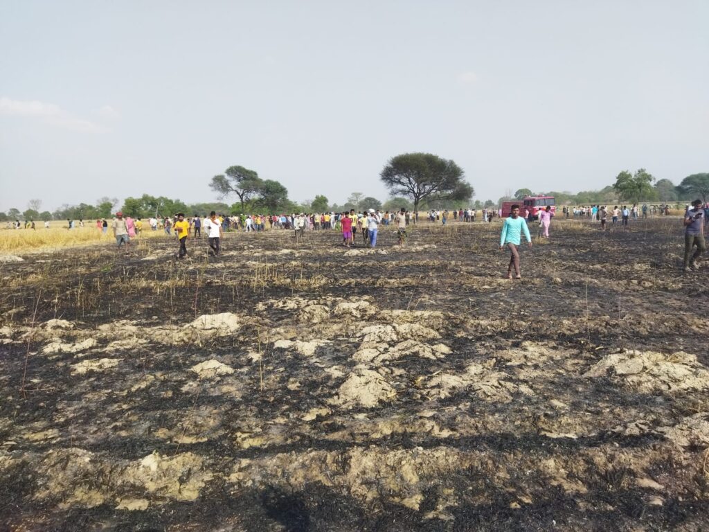 बच्चों द्वारा गेंहू की बाली भुजने के दौरान निकली चिंगारी से सैकड़ो बिगहा गेंहू की फसल जलकर राख