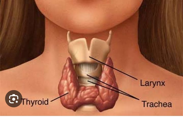 सहारा हॉस्पिटल में थायराइड के मरीजों के लिए नि:शुल्क चिकित्सा शिविर आज