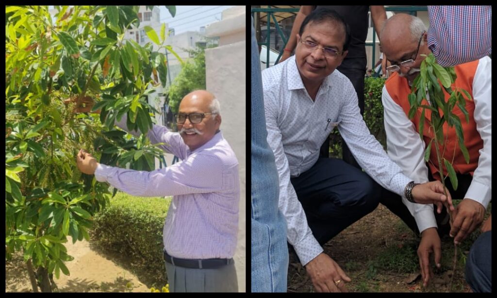 वृक्षारोपण और पर्यावरण संरक्षण: हमारा संकल्प-जेपी सिंह