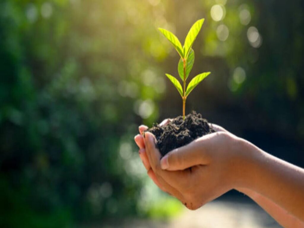 हरियाली बढ़ाने को प्रदेश भर में ''एक नल एक पेड़'' अभियान चलाएगी योगी सरकार 