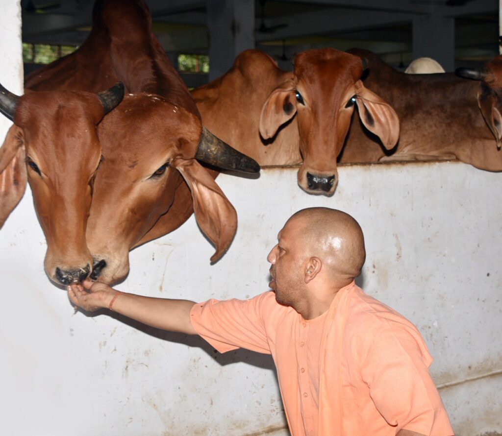 जनसमस्याओं के निस्तारण में हीलाहवाली अक्षम्य :मुख्यमंत्री