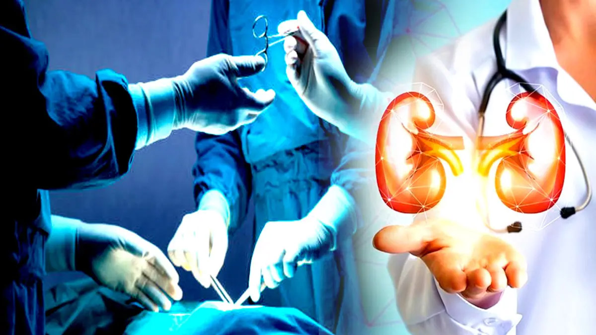 दिल्ली-एनसीआर में किडनी ट्रांसप्लांट रैकेट का भंडाफोड़: बांग्लादेश से जुड़े तार, महिला डॉक्टर गिरफ्तार