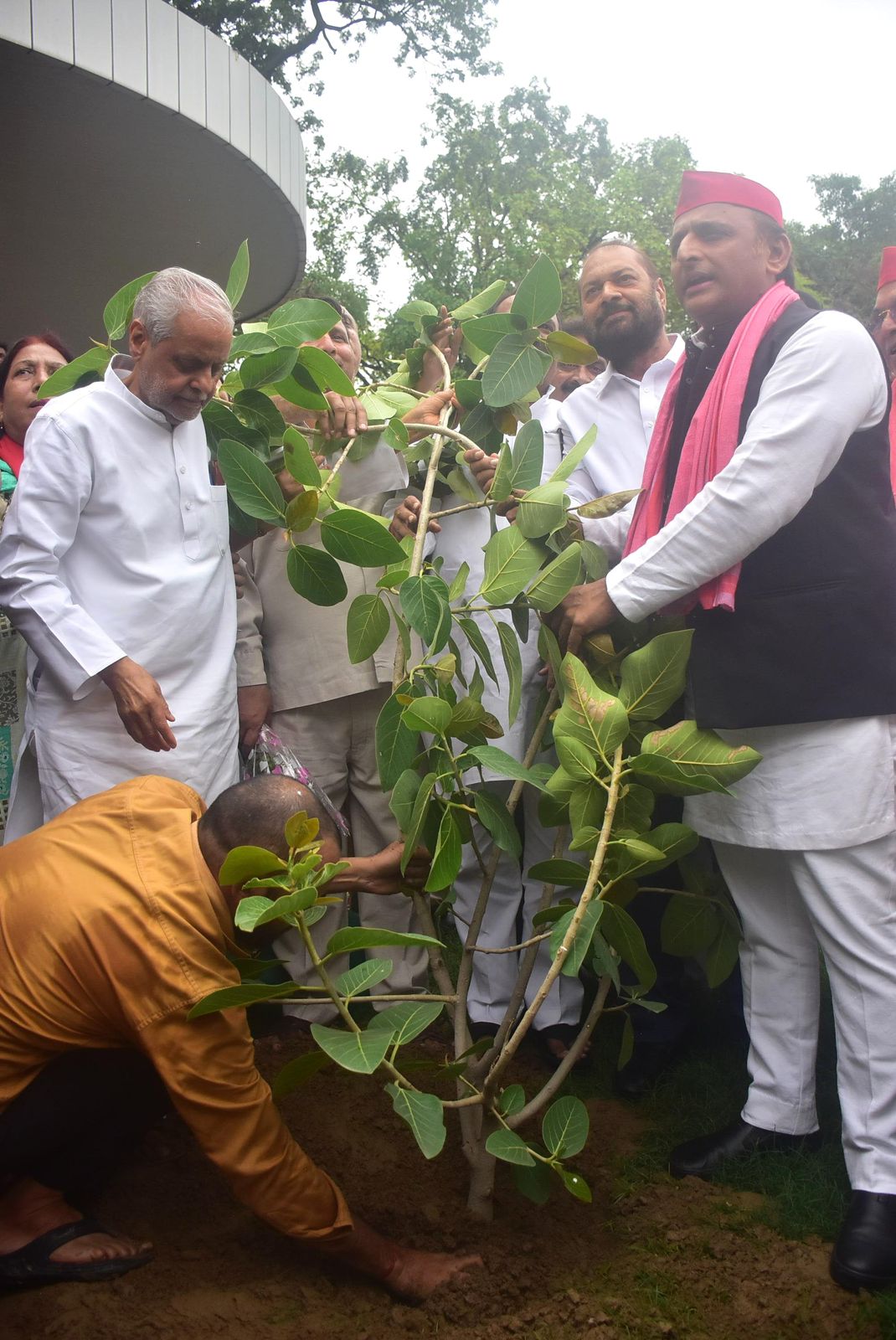 समाजवादी पार्टी के वृक्षारोपण अभियान का समापन, अखिलेश यादव ने बरगद का पेड़ लगाकर दिया पर्यावरण संरक्षण का संदेश