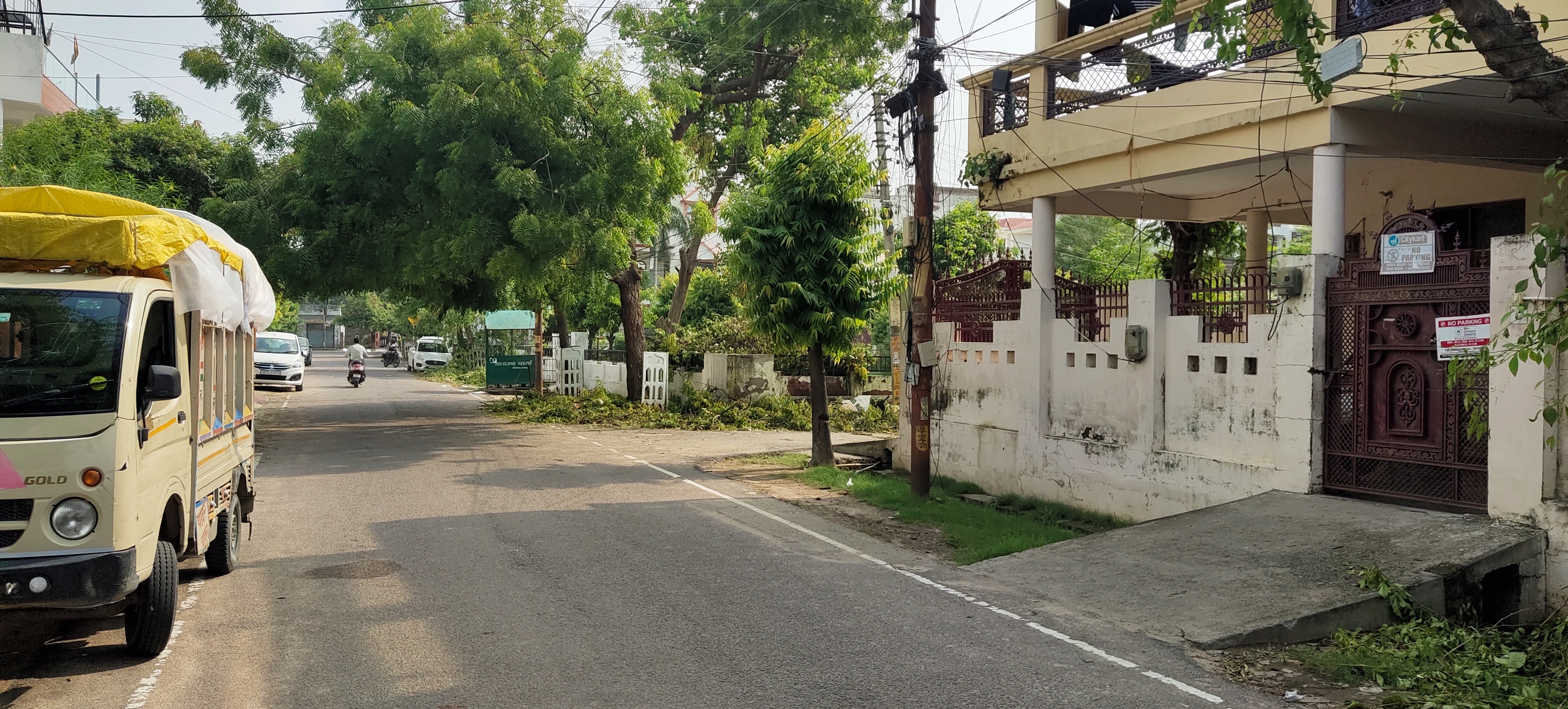 बिजली विभाग द्वारा पेड़ों की कटाई के बाद कदम्ब पार्क बना कचरे का ढेर, कॉलोनीवासियों में नाराजगी