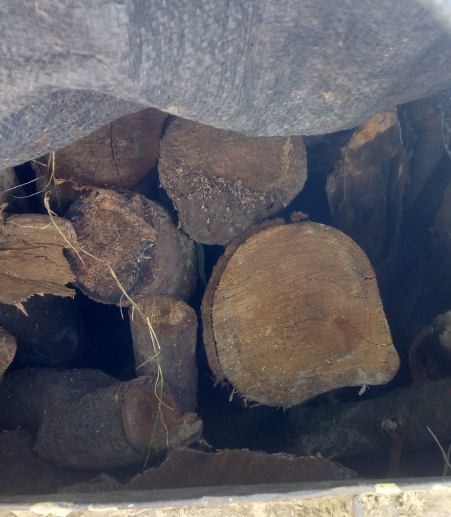 पिहानी क्षेत्र में अवैध लकड़ी से लदी गाड़ी को रेंजर ने दिनदहाड़े छोड़ा, जांच के आदेश जारी