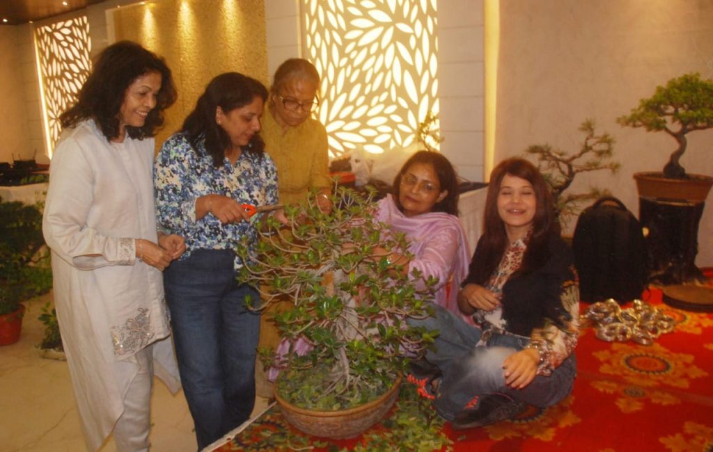 गमले में सुंदर वृक्ष ही असली बोनसाई: फहद मलिक