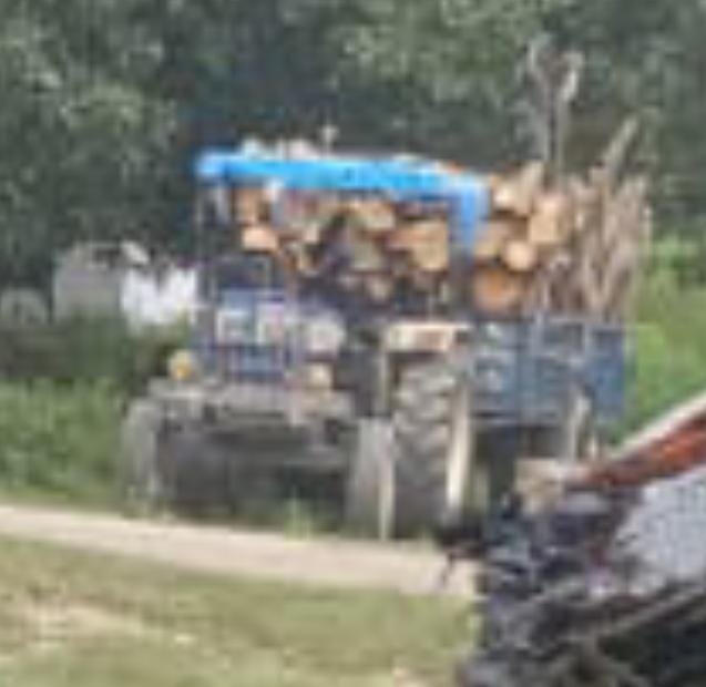 वन विभाग की लापरवाही से धार्मिक स्थल  छतिग्रस्त, आम का पेड़ काटा गया, बन दरोगा ने पत्रकार को दी धमकी