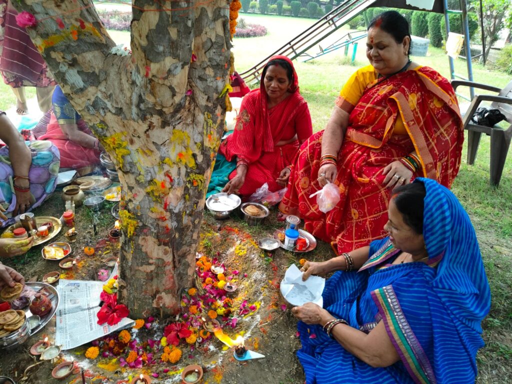 अक्षय नवमी पर आंवला वृक्ष की पूजा कर महिलाओं ने किया समग्र कल्याण की कामना