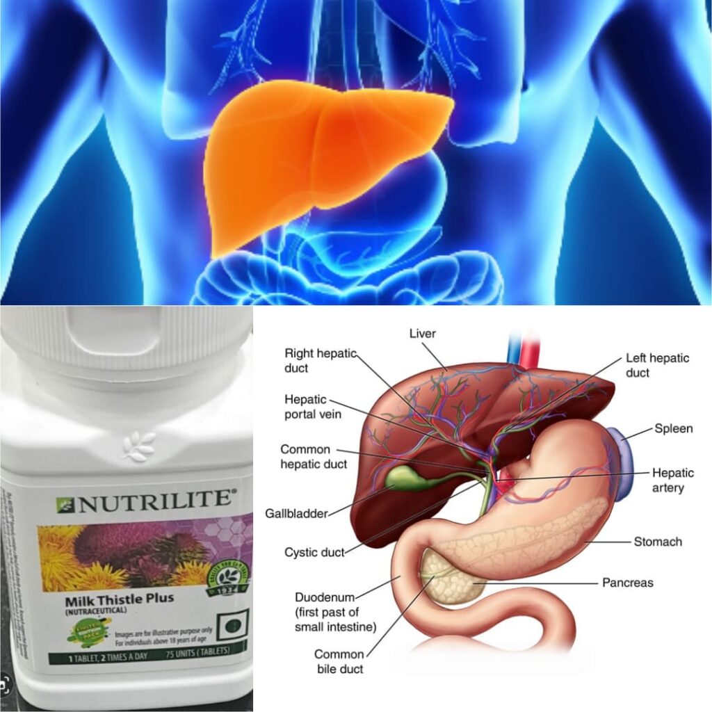 Unlocking the Secret to Vitality: The Untold Story of Nutrilite Milk Thistle with Dandelion Plus