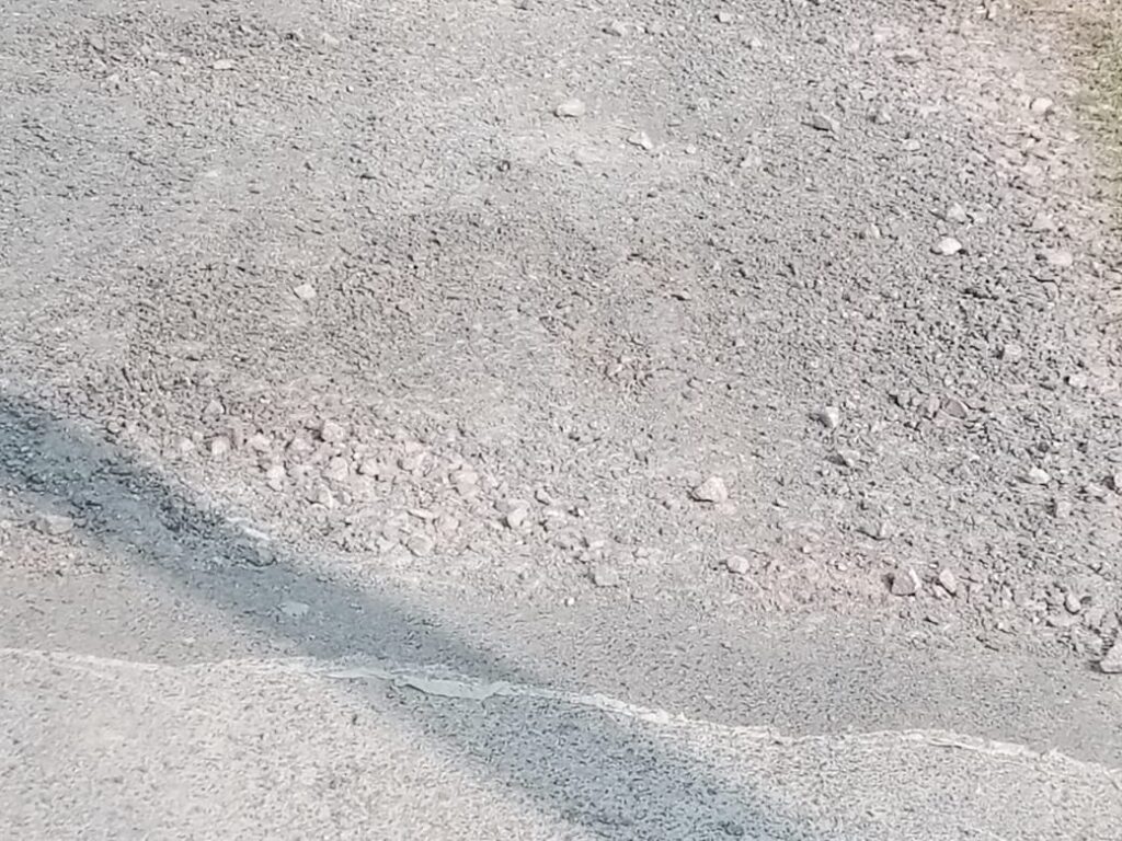 केनाल विभाग के AE की शह पर फसल घोटाला, 1.5 लाख की धान की फसल पर उठा विवाद