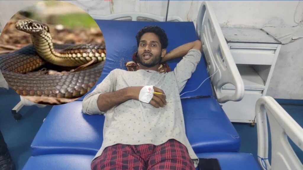 🐍 ब्रेकिंग न्यूज़: युवक को डसा जहरीला सांप, खुद तड़प-तड़प कर मिनटों में मर गया! गांव वालों में दहशत और हैरानी