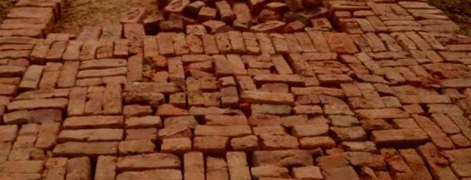 सरकारी विकास पर गुंडाराज! दबंगों ने उखाड़ा खड़ंजा, ईंटें चोरी; कोतवाल की चुप्पी से अपराधी बेख़ौफ