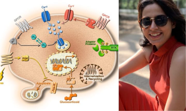 क्या आप अपनी कोशिकाओं को वही देने को तैयार हैं, जो प्रकृति ने उनके लिए बनाया था?
