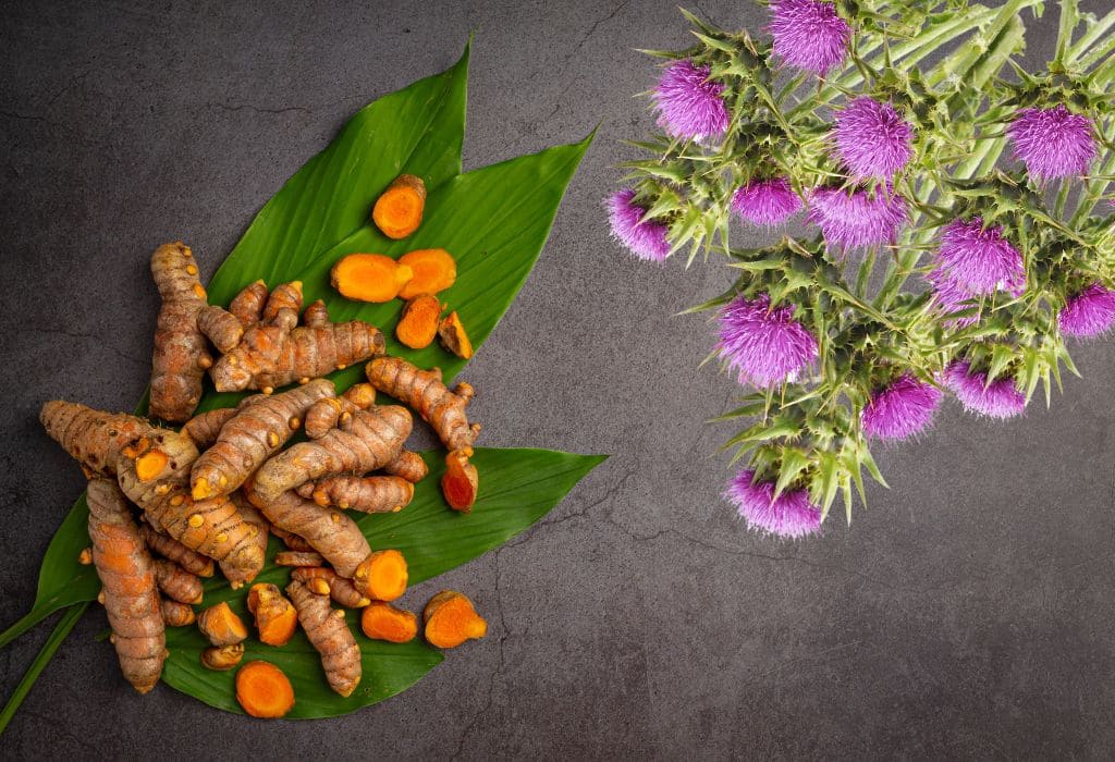 चार चमत्कारी वनस्पतियाँ—जो जीवन में भर देती हैं नई ऊर्जा, नया जोश और जीने की नई उम्मीद