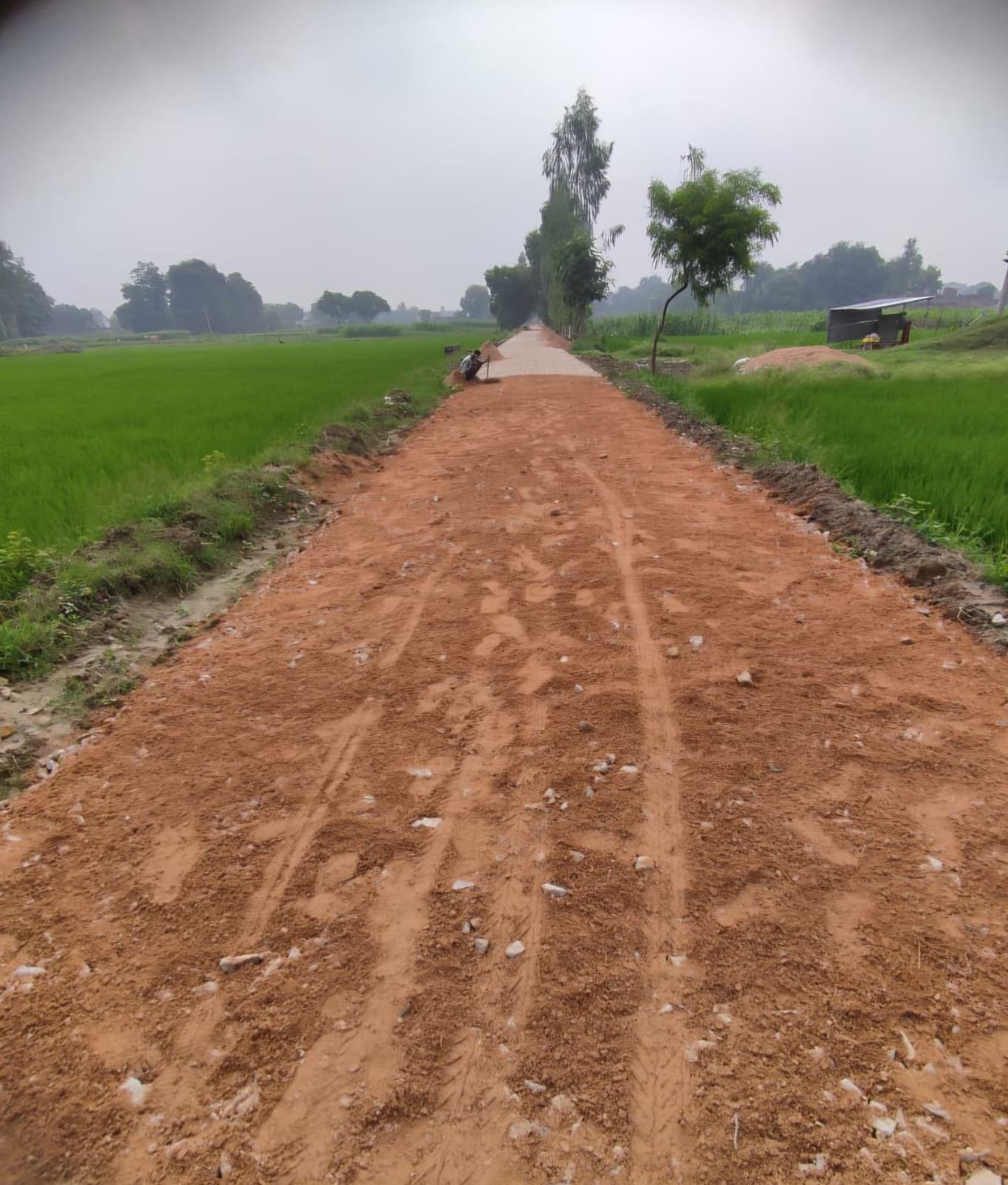 विजेथुआ–राजापुर सड़क विवाद में हाईकोर्ट का अहम फैसला, 18 साल पुराने अभिलेख बने विभागीय पक्ष का आधार