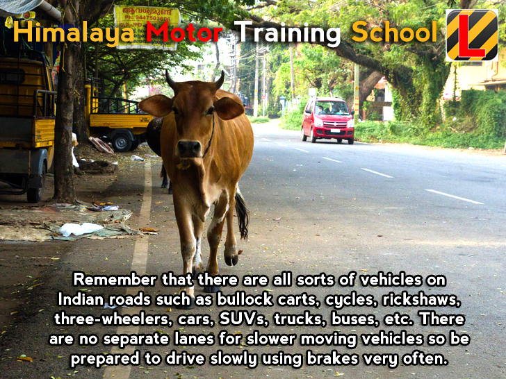 Himalaya Motor Training School